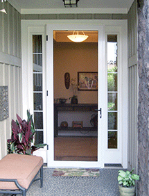 Stainless steel security screen door installed in this front entry