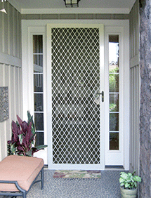 Traditional front entry security door